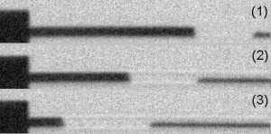 domains occupying half a wire